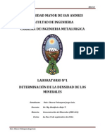 Informe Densidad de Minerales