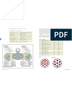 12s and 12n Wiring Diagrams