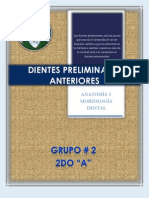 Dientes Preliminares Anteriores Segundo A Grupo 2