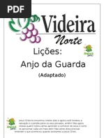 Ministrações do Anjo da Guarda - Adaptado (1)