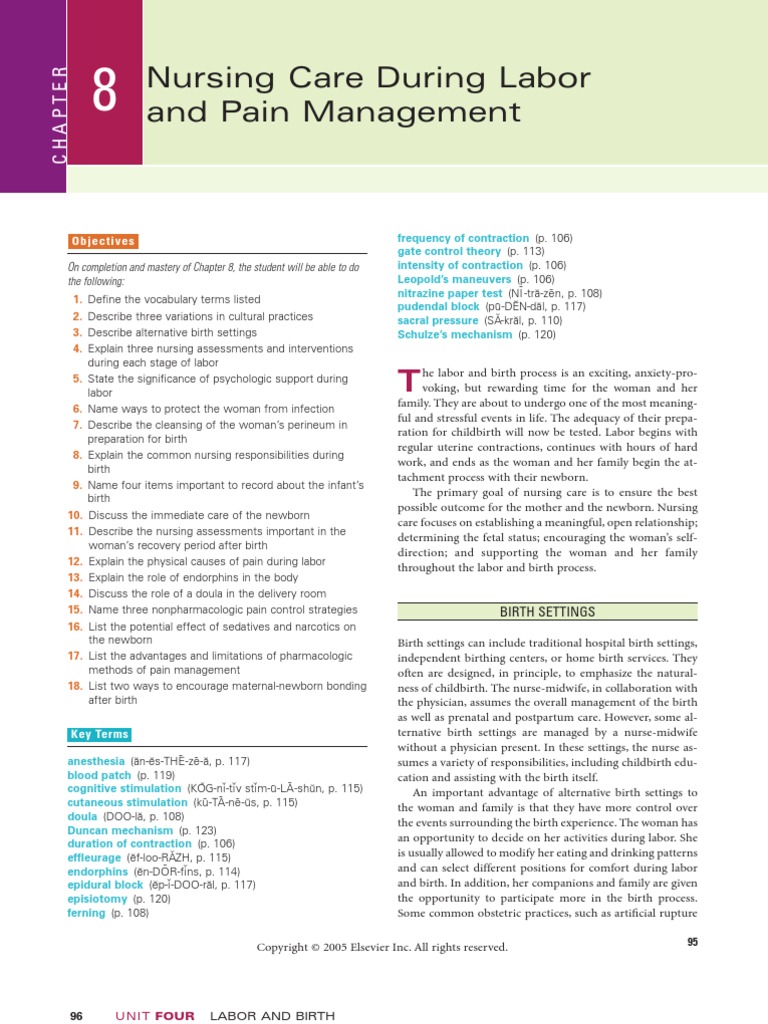 Chapter 8 Nursing Care During Labor and Pain Management | PDF ...
