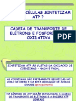 5 Transporte de Eletrons e Sintese de ATP