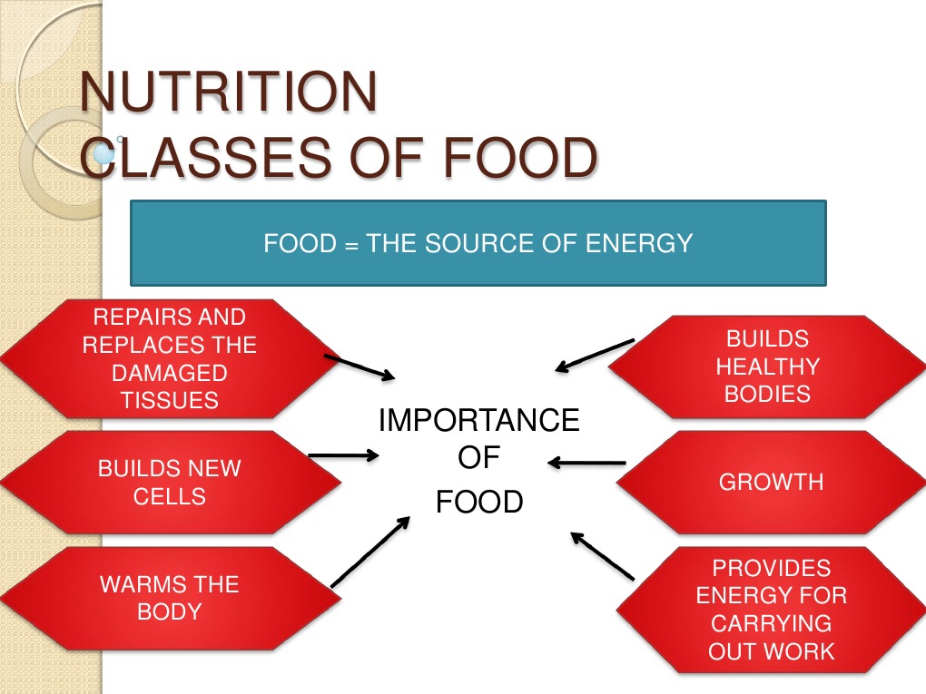 Nutrition | PDF | Wellness | Science & Mathematics