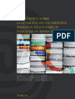 Diagnostico Sobre La Situación de Los Derechos Humanos de Los Pueblos Indígenas de América Central, Tomo 2