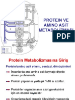 AAprotein Met 1 2 2