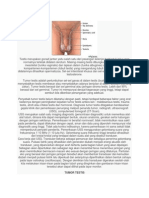 Tumor Testis