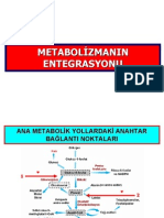 Met - Entegrasyonu 2 14