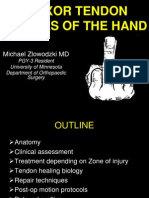 Flexor Tendon Injuries of the Hand: Treatment and Rehabilitation