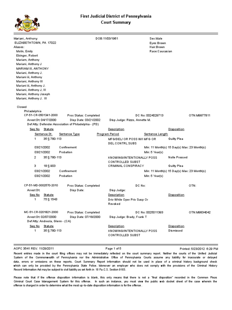 First Judicial District of Pennsylvania Court Summary | PDF | Probation ...