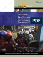The Pathways To Sustainability in Emerging Economies