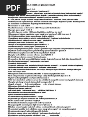 Modul 7 Cikmis Sorular Pdf