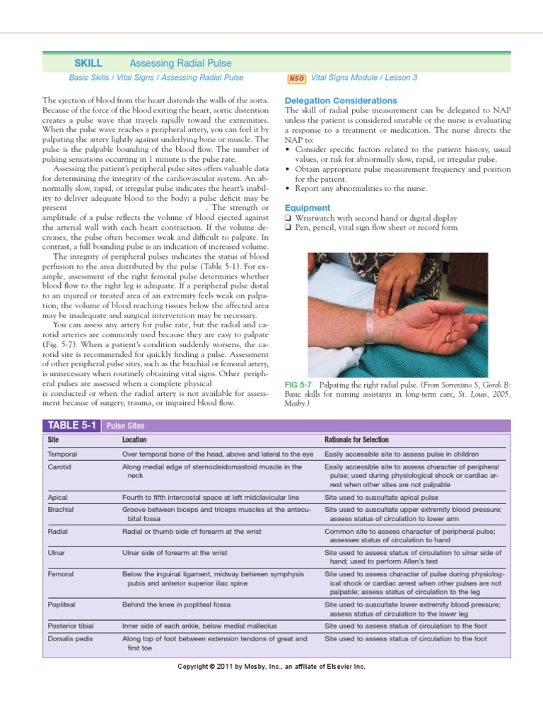 Assessing Radial Pulse Pulse Heart