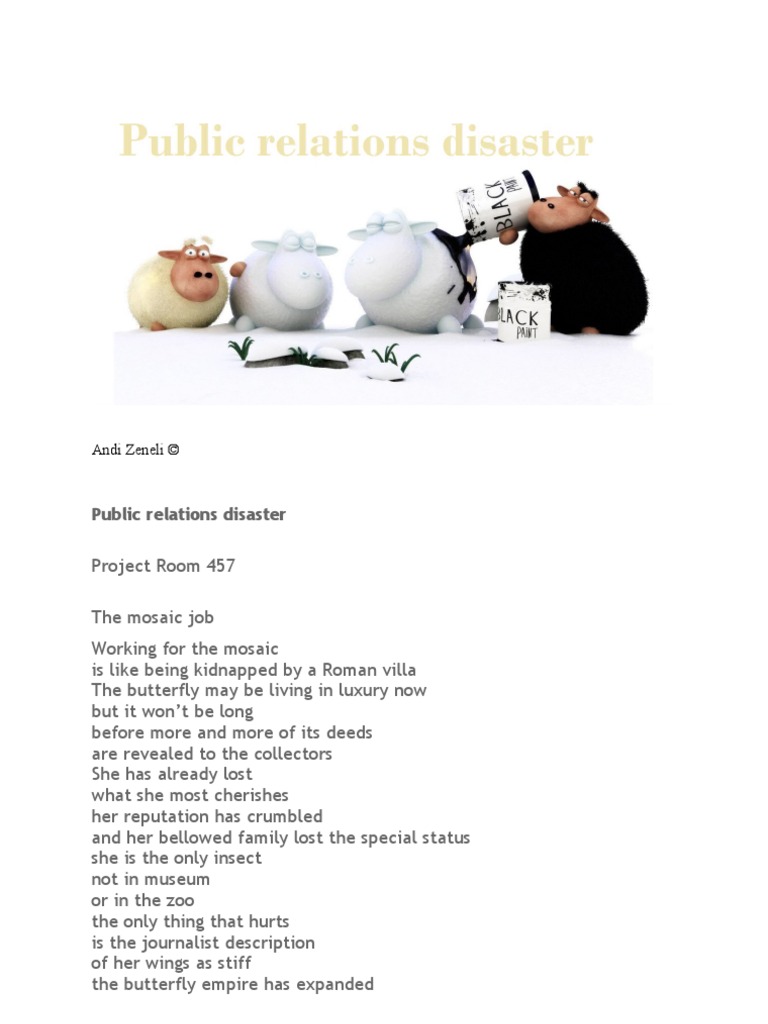 Public Relations Disaster PDF Nature(03)