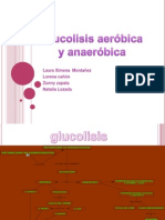 Glucolisis Anaeróbica