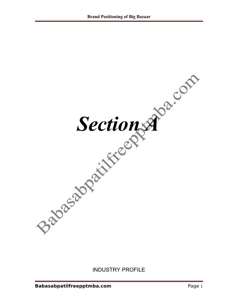A Project Report On Brand Positioning of Big Bazaar PDF Retail