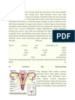 Anatomi Histologi Ovarium