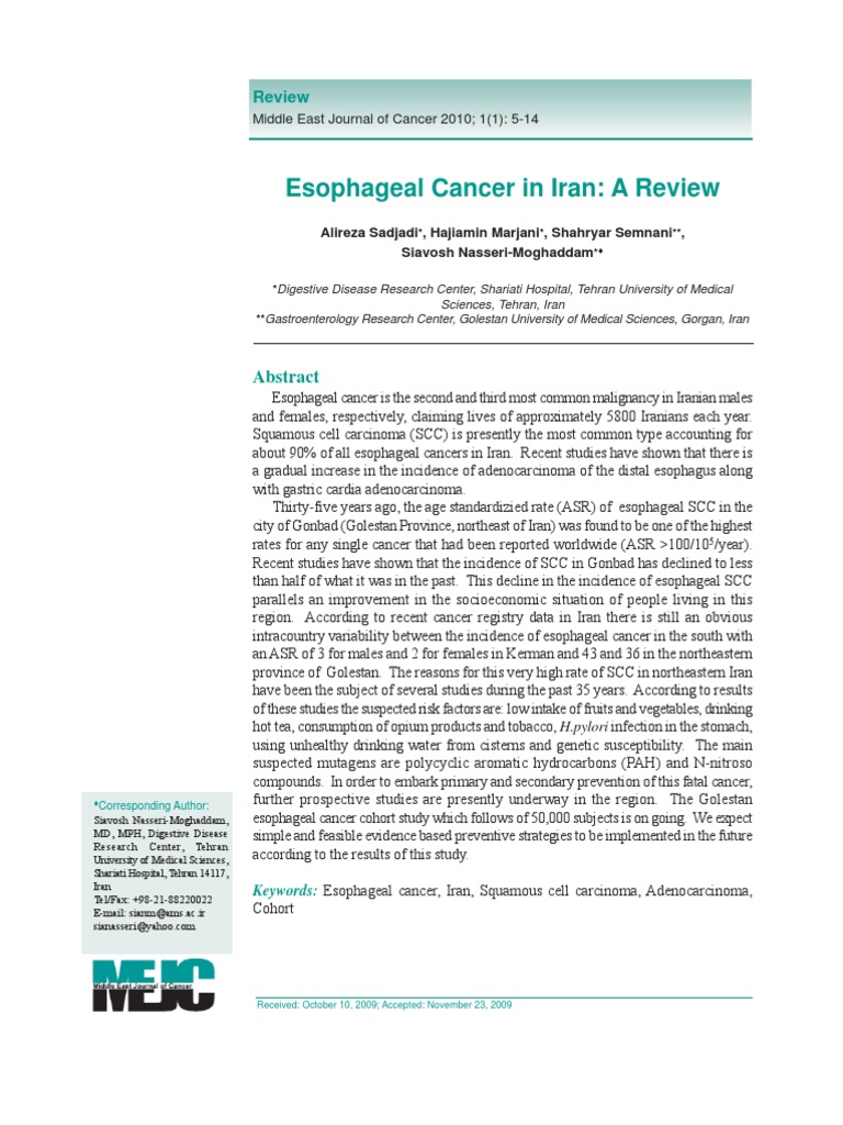 Risk Factors of Esophagus Cancer1 | PDF | Esophageal Cancer | Nitrate