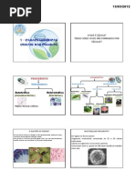Caracteristícas Gerais da Célula