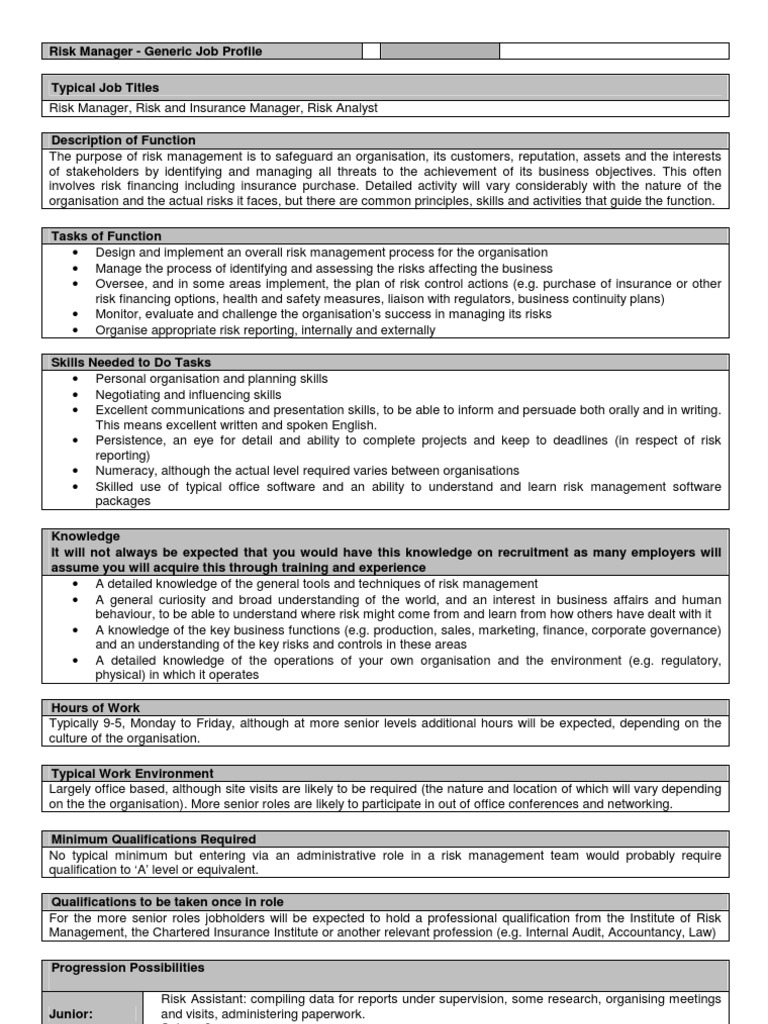 Generic Risk Manager Job Profile PDF Risk Management Risk