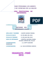 Informe internado enfermería hospital Callao