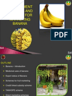 GOVERNMENT SCHEMES FOR BANANA MARKETING