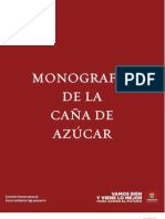 Monografia Caadeazucar2010