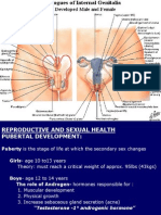 Gynecological Anatomy Physiology594