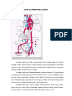 Peredaran Darah Pada Janin