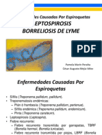 Enfermedades Causadas Por Espiroquetas