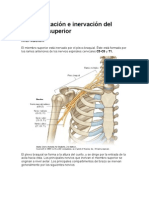 Vascularizacion e Inervacion Del Miembro Superior