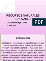 Recursos Naturales Renovables