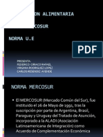 Expo Mercosur