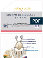 Cuerpo Geniculado Lateral