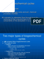 Biogeochemical Cycle