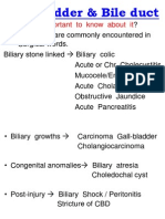 Gall Bladder &amp; Bile Duct