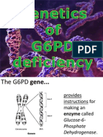 G6PD Genetics Presentation