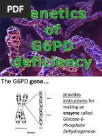 G6PD Genetics Presentation