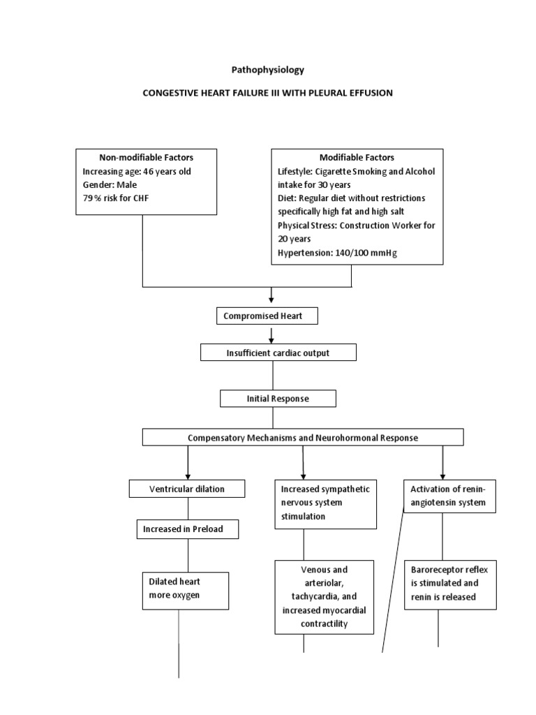 Pathophysiology of Congestive Heart Failure III With Pleural Effusion ...