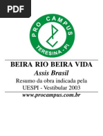 Beira Rio Beira Vida