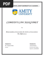 Memorandum of Associations & Article of Associations