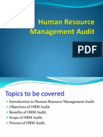 Human Resource Management Audit