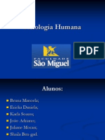 Fisiologia Humana