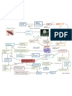 Fisiopatologia de La Tuberculosis