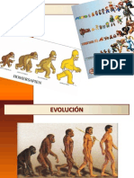 CLASE - EVOLUCIÓN