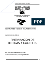 Preparacion de Bebidas Y Cocteles: Instituto de Ciencias de La Educación