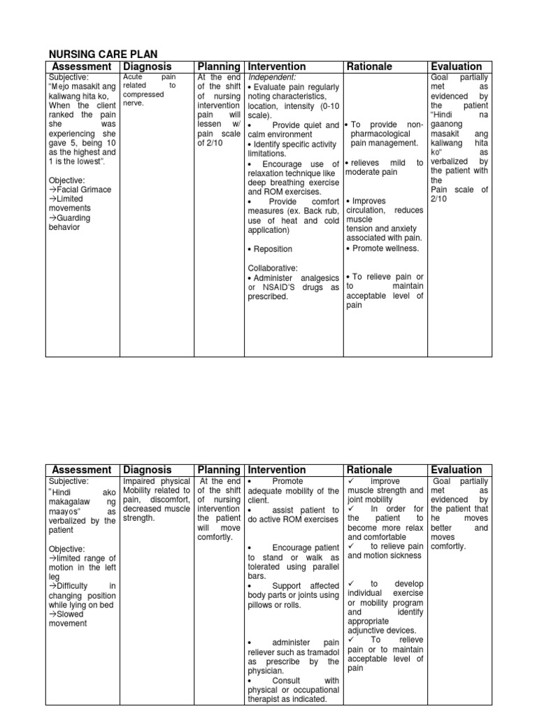 WHAT IS ASSESSMENT IN NURSING CARE PLAN visual data 3