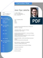 CV - Jose Oya Labella