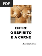 Entre o Espirito e a Carne