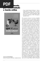 Resenha - o que é afinal estudos culturais