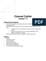 Channel Catfish: (Chapter 17)